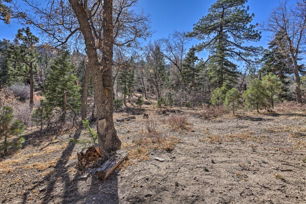 Villa Chocolate Moose Cabin Short Walk To Slopes à Lac Big Bear Extérieur photo